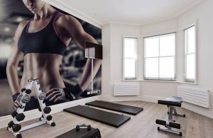 mejores gimnasios panama